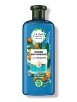 Herbal Essences Шампунь для волос Марокканское аргановое масло 400 мл
