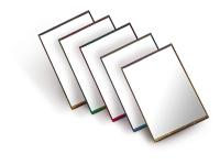 9595 (L 28) зеркало