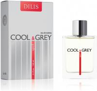 Dilis Cool & Grey мужская туалетная вода 100 мл